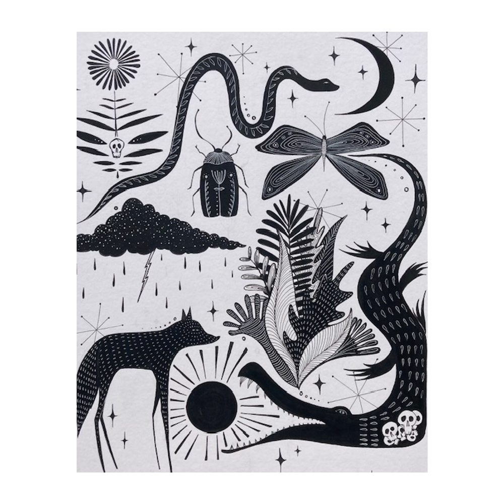 Amy_Ackerman_flora_and_fauna_graphic_art_print