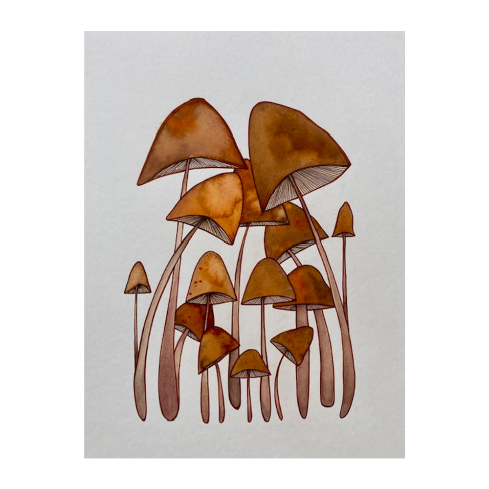 Amy_Ackerman_mushrooms_art_print