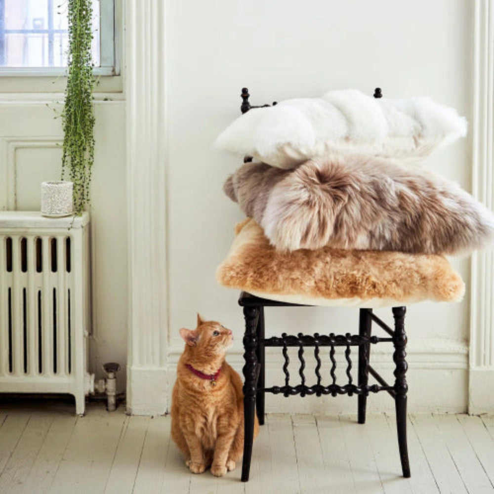 Cat sitting on the floor next to a wooden chair with fur-covered pillows stacked in a white room
