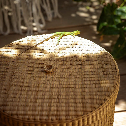 Woven basket with a lizard on top, outdoors