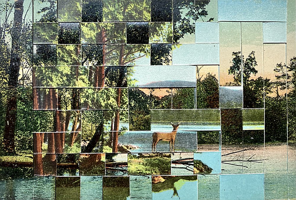 Collage of nature scenes with trees, a deer, and water.
