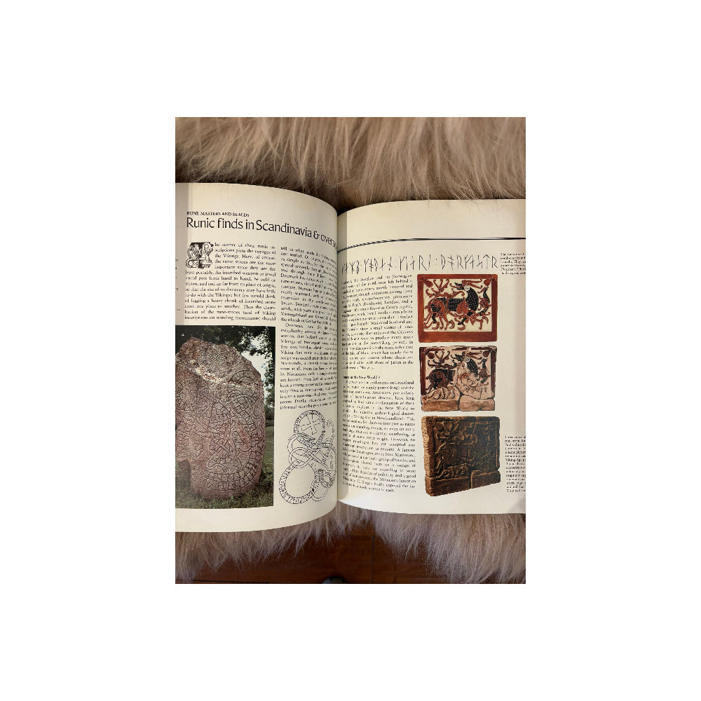 The Viking World (Hardcover)