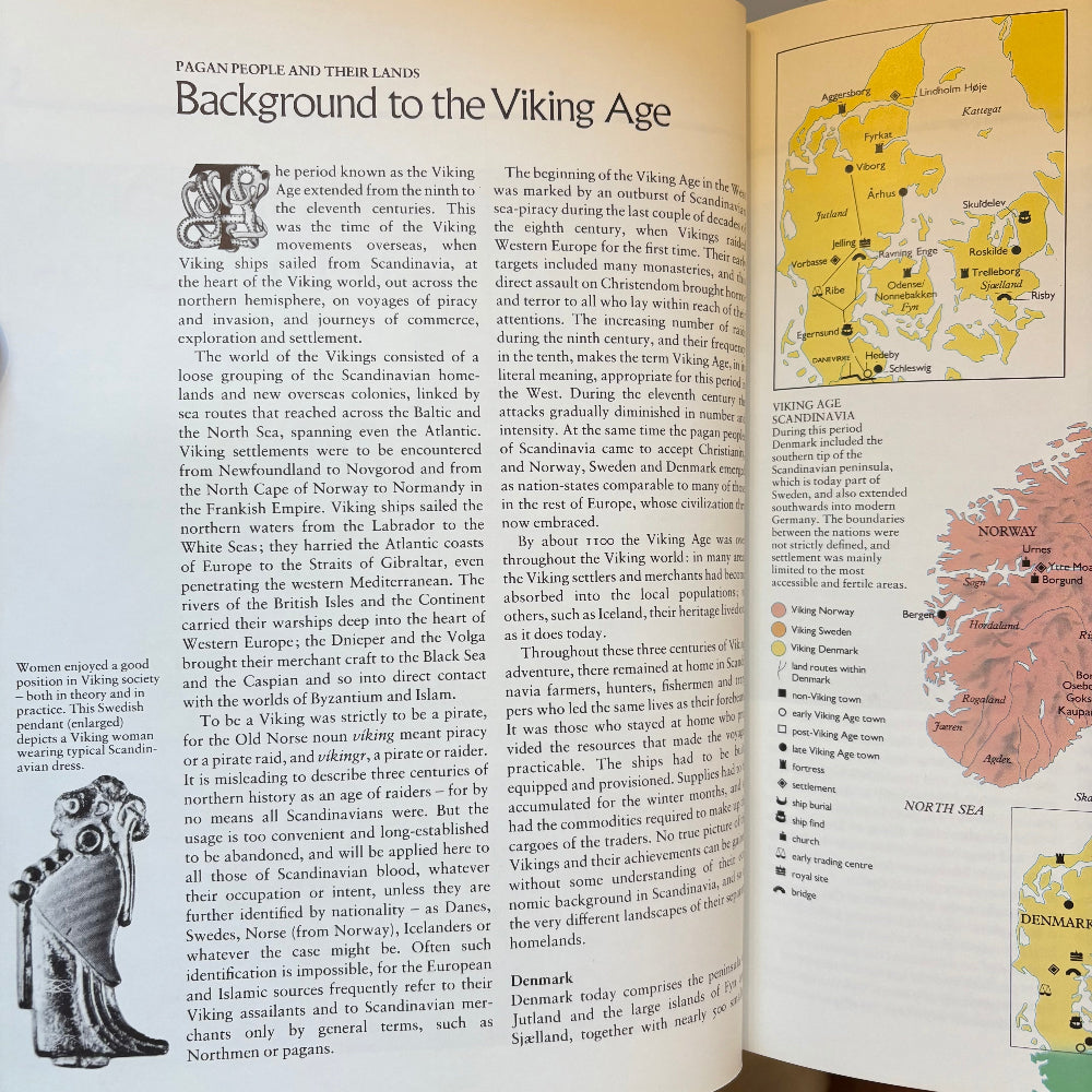 The Viking World (Hardcover)