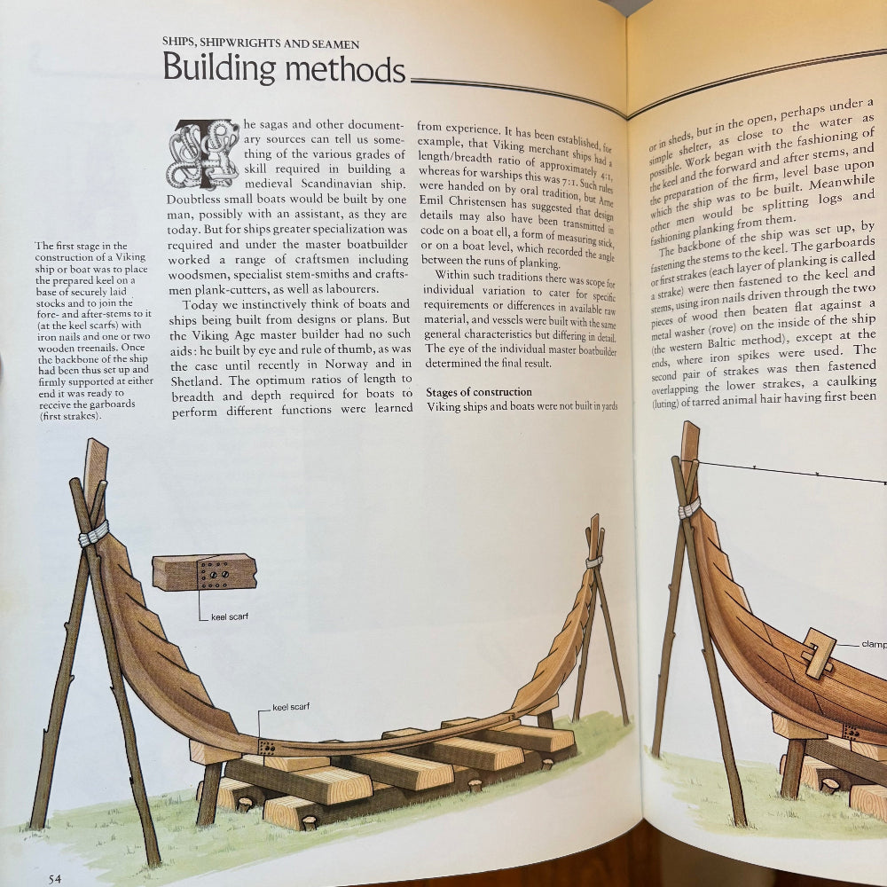 The Viking World (Hardcover)