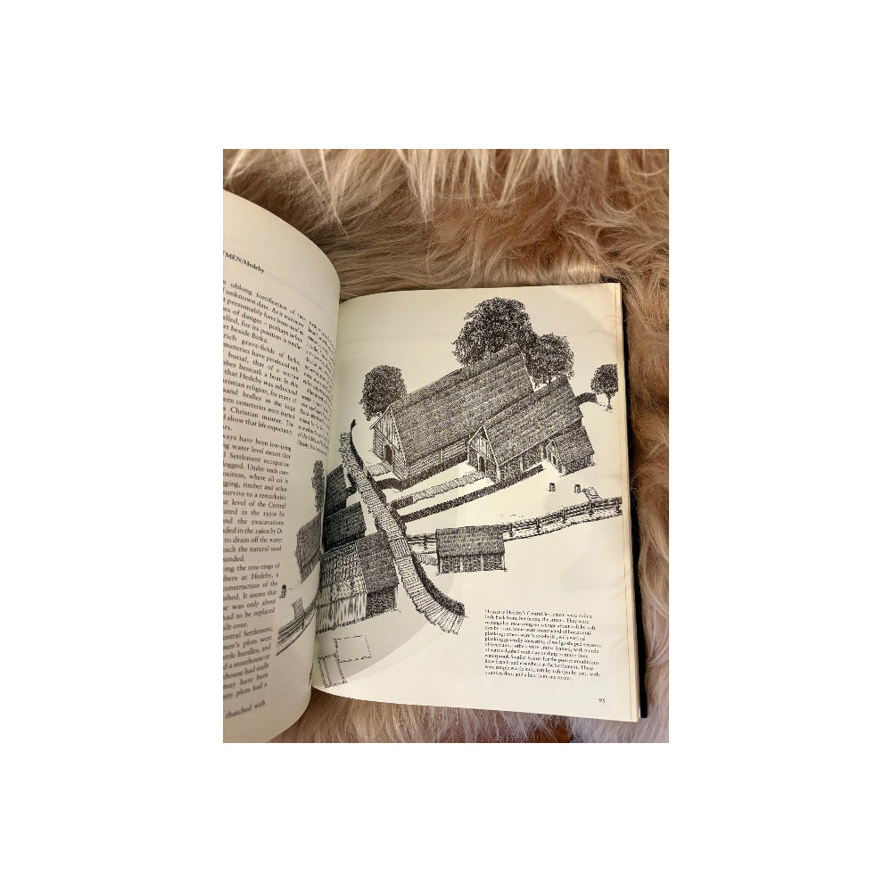 The Viking World (Hardcover)