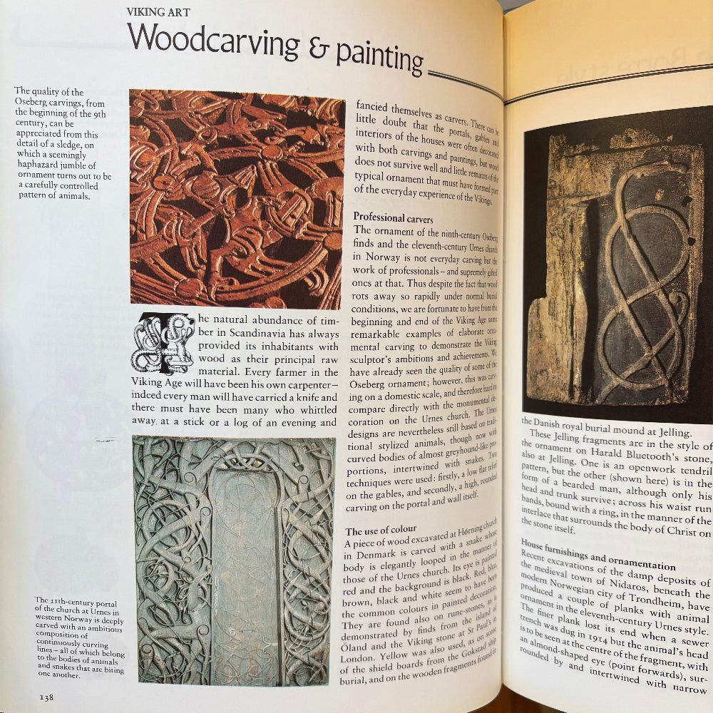 The Viking World (Hardcover)