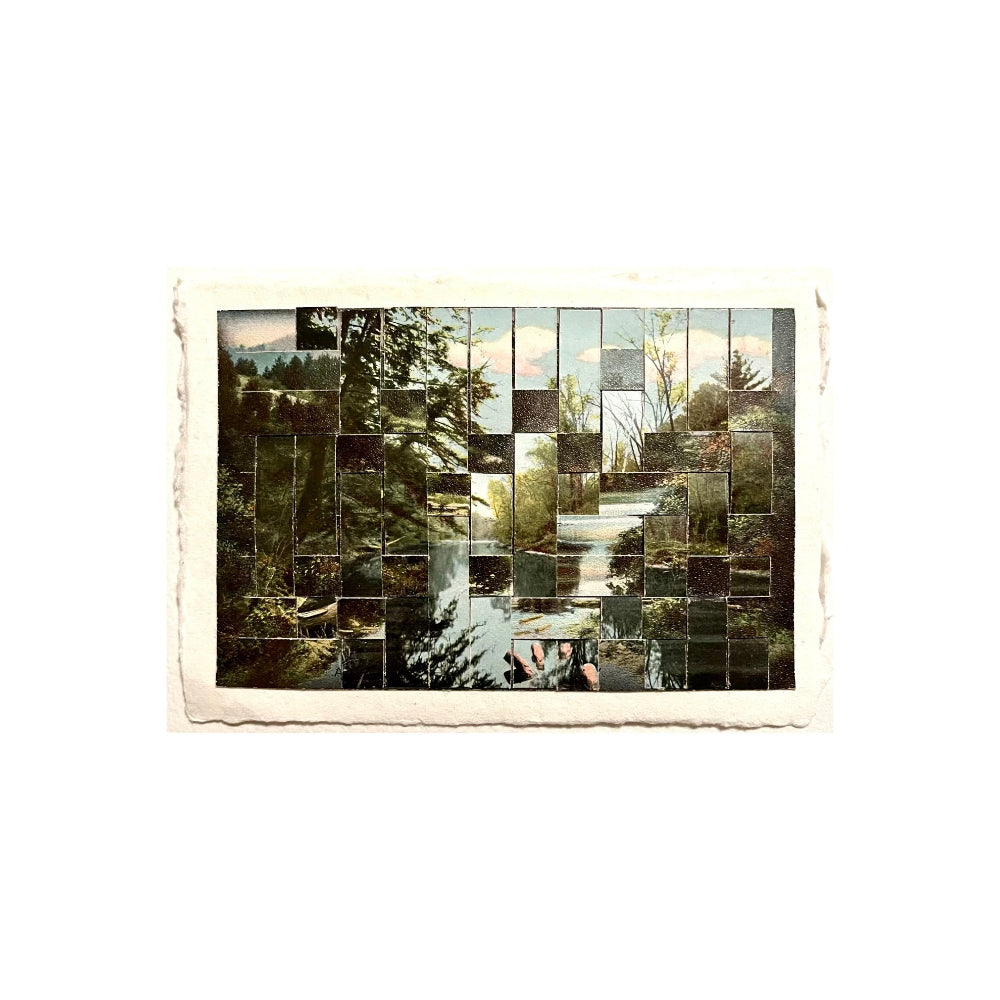 Collage of nature scenes with trees and water on a textured white background