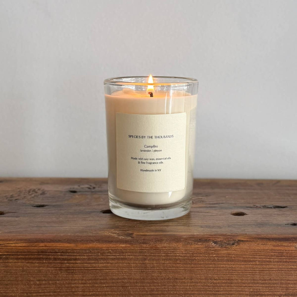 Campfire, Pinyon + Lavender Handcrafted Soy Candle