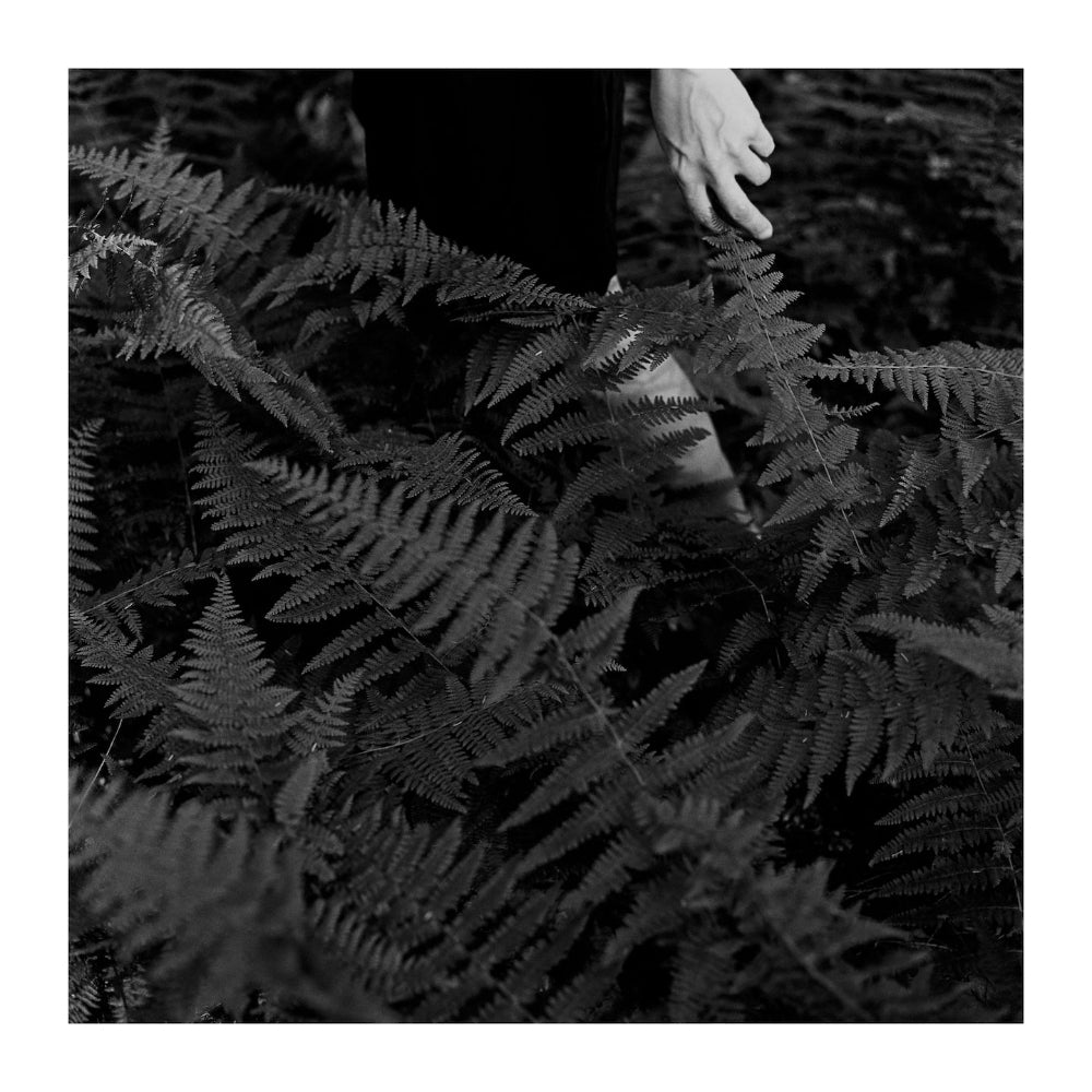 fern-forest-2013-jojo-ans-photography-art-print
