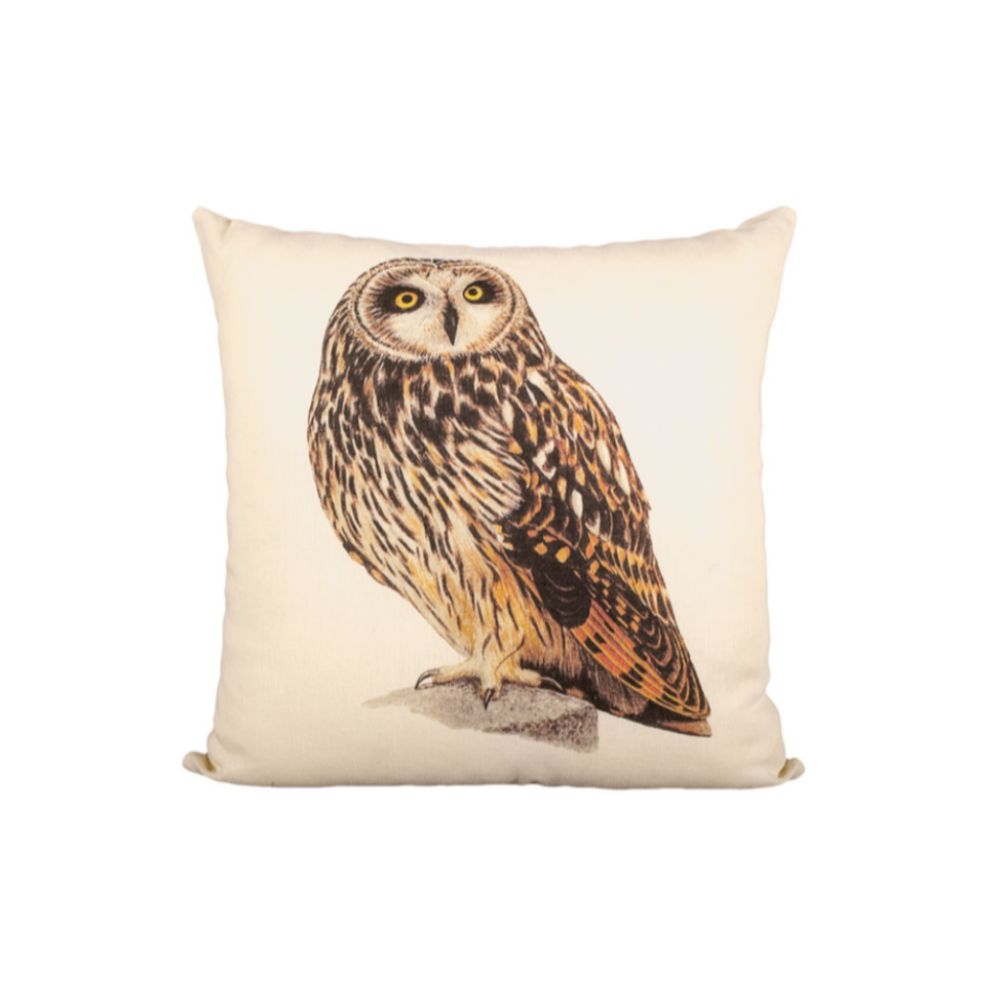 oxbow-decor-owl-20-inch-pillow