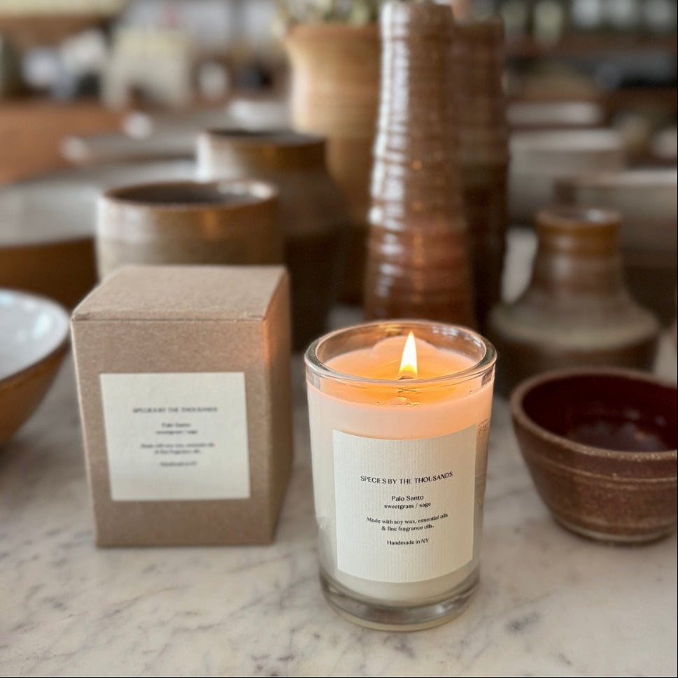 palo santo soy candle in glass jar