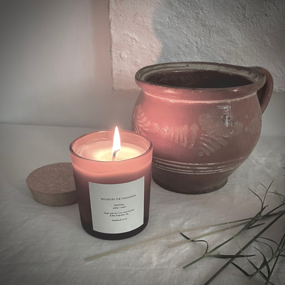 Candle with a label next to a ceramic pot on a textured surface