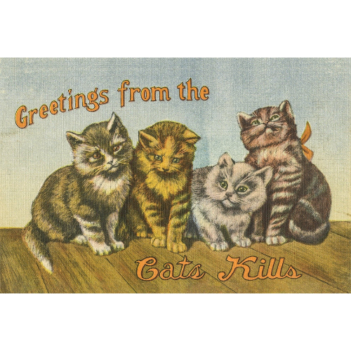 A vintage style postcard featuring illustrations of cats with the text 'Greetings from the Catskills'.