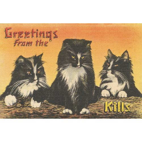 A vintage-style postcard featuring three black and white cats with 'Greetings from the Catskills' text.